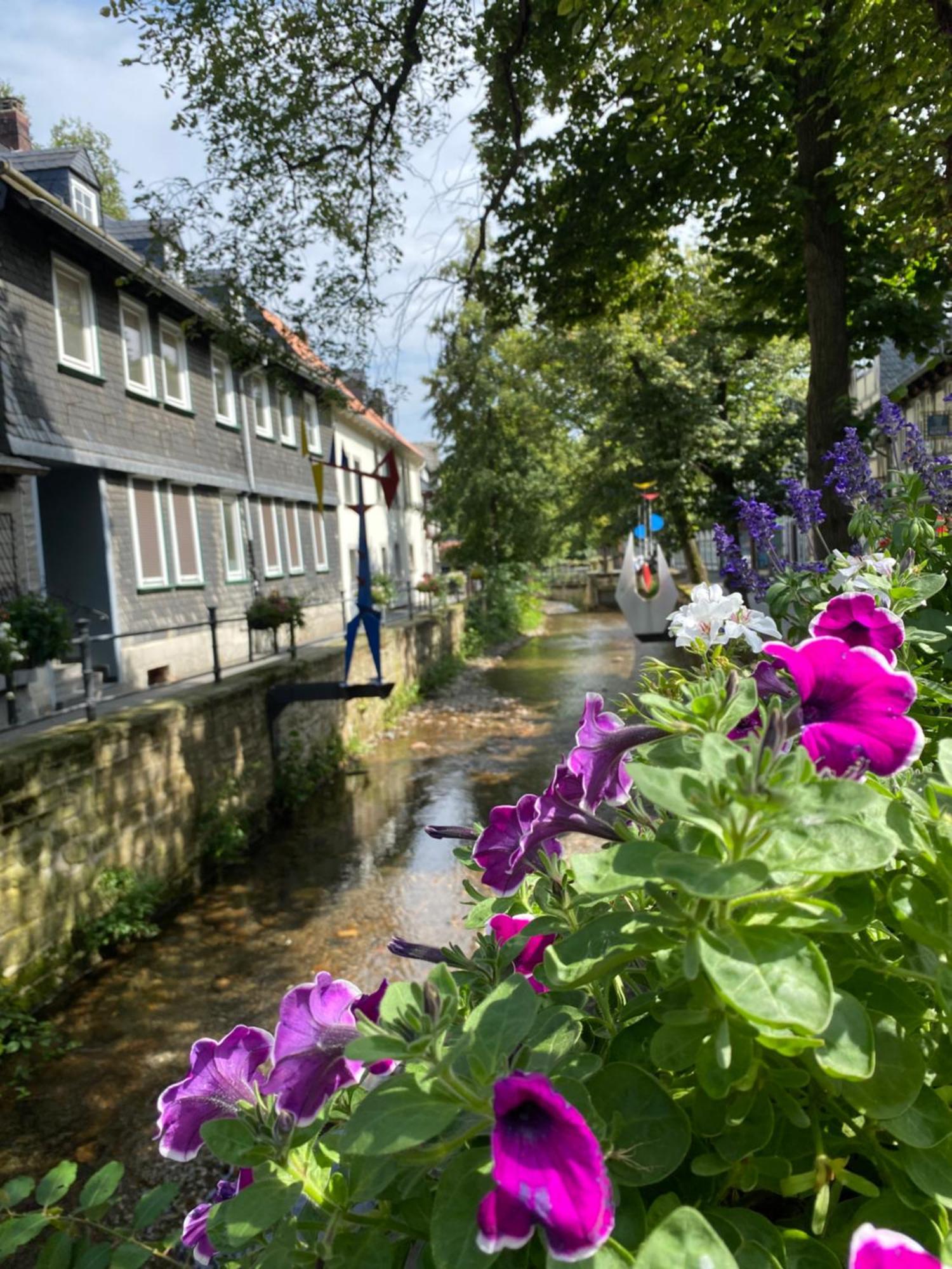 Fewo Georgenberg Goslar Luaran gambar