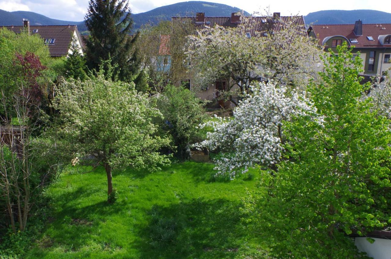 Fewo Georgenberg Goslar Luaran gambar