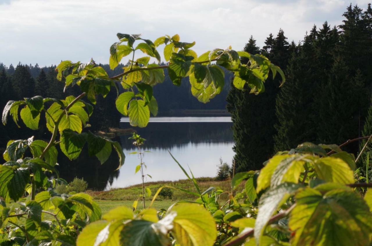 Fewo Georgenberg Goslar Luaran gambar